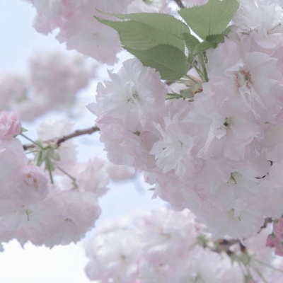 兽设质感表现技巧福瑞交流群